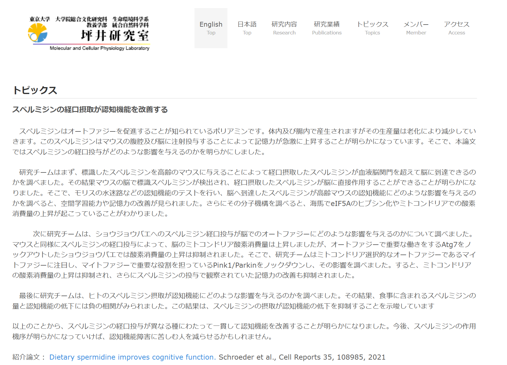 スペルミジンの経口摂取が認知機能を改善する